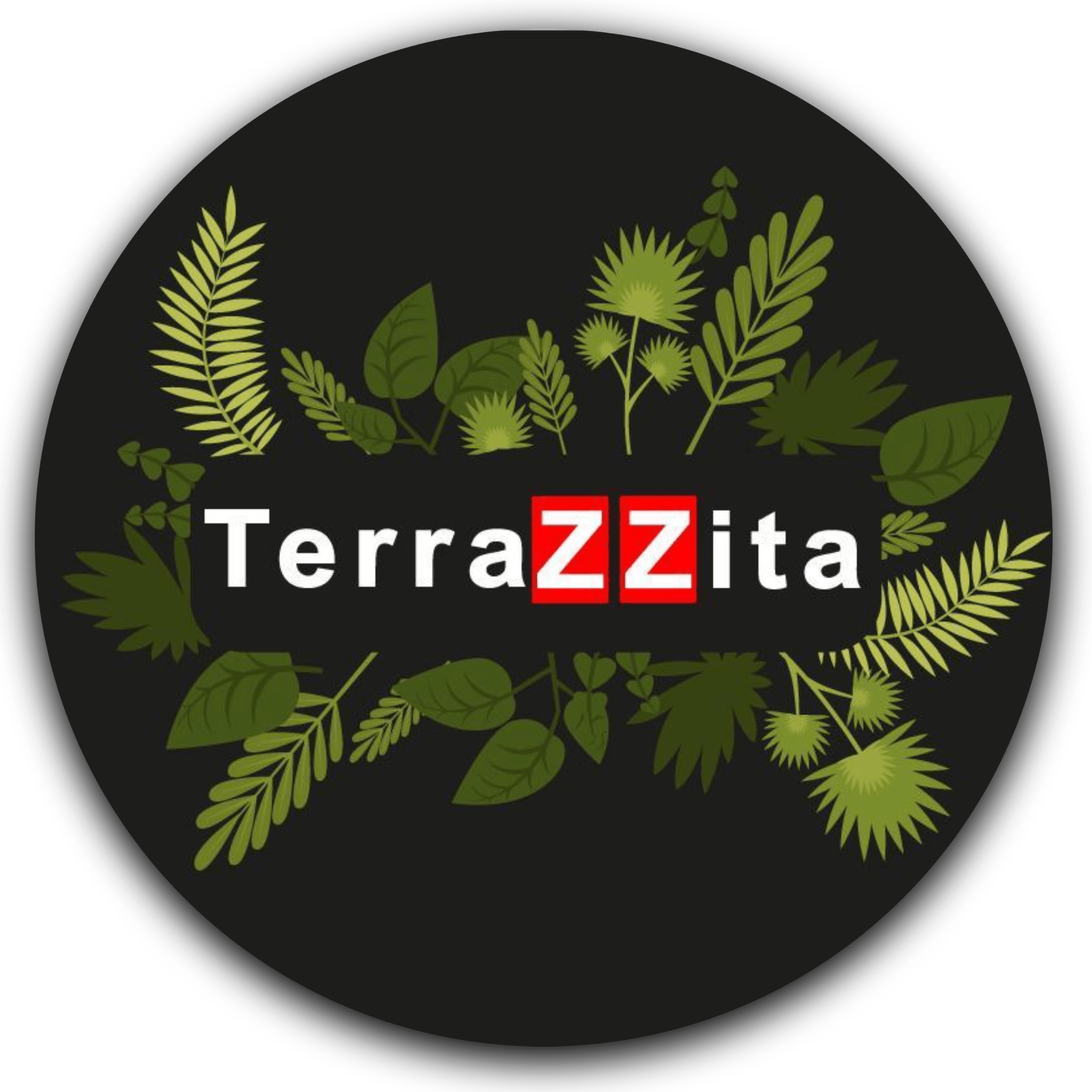 terrazzita-offers-authentic-mexican-food-in-midland-tx-79701